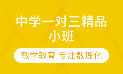 中学一对三精品小班