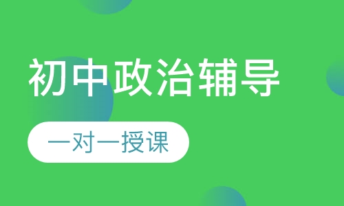 初中一对一政治辅导
