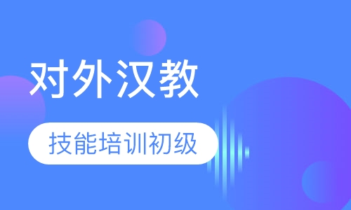对外汉语教师教学技能培训初级