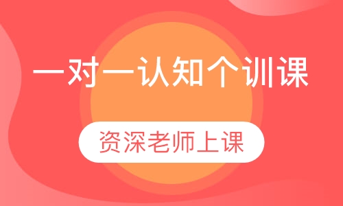 一对一认知个训课
