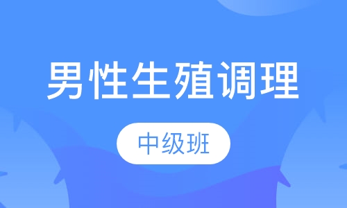 男性生殖调理中级班
