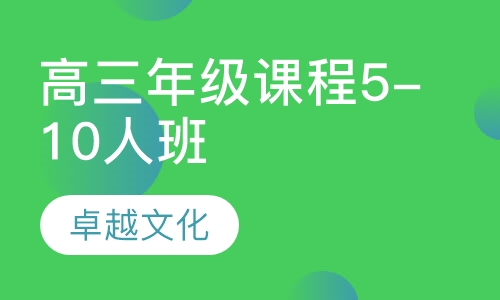 卓越文化高三年级课程5-10人班