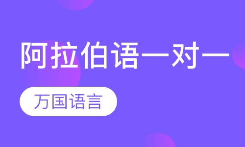 阿拉伯语VIP一对一