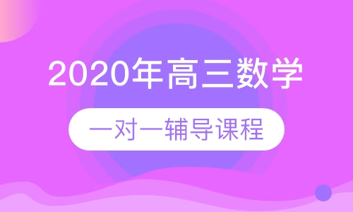 2020年高三数学一对一辅导课程