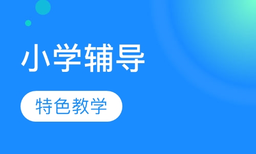 小学辅导