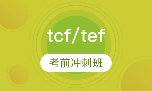 法语tcf/tef考前冲刺班