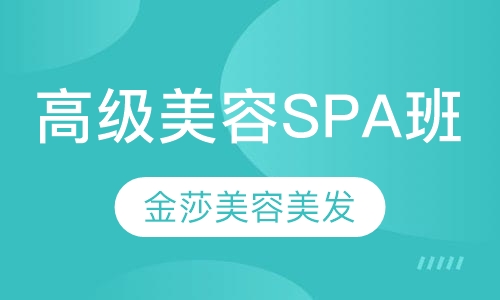 高级SPA班