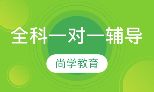 全科一对一辅导