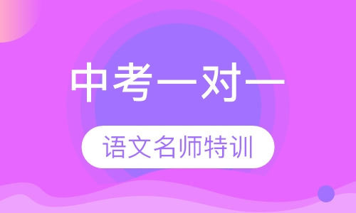 中考语文考前集训冲刺特训营