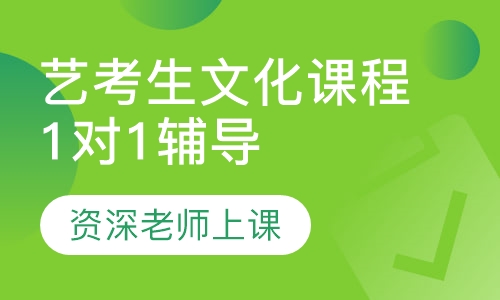 艺考生文化课程1对1辅导