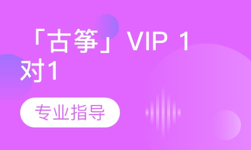 「古筝」VIP 1对1