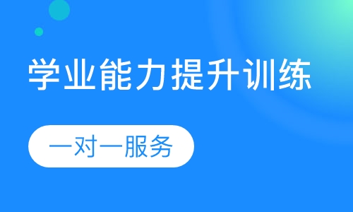 学业能力提升训练一对一服务
