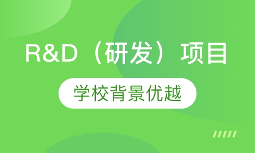 R&D（研发）项目