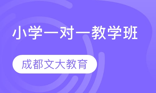 小学一对一教学班