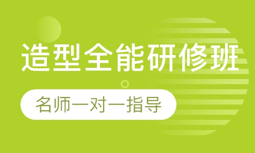 国际联盟沙宣+托尼盖+日式全能研修班