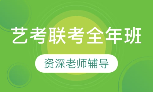 艺考联考全年班