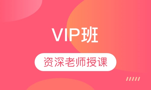 中级经济师VIP班