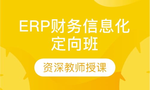 ERP财务信息化定向班