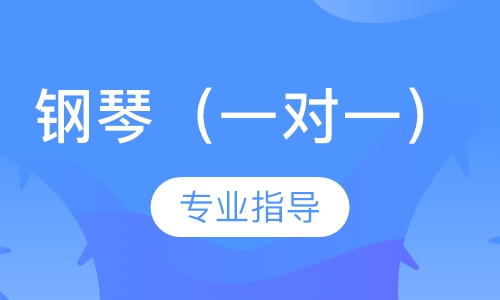 钢琴（一对一）