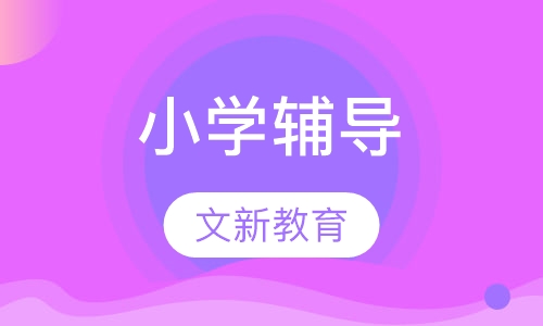朝阳区小学辅导