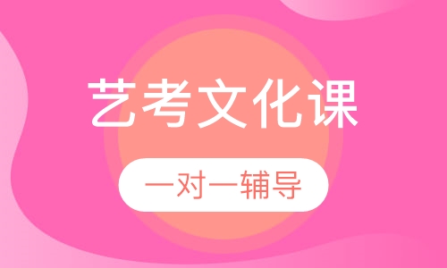 艺考文化课一对一辅导