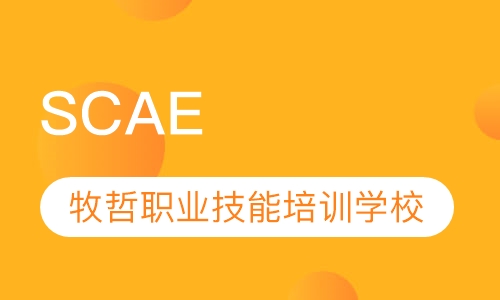SCA