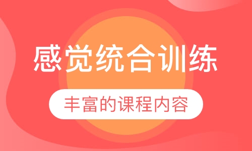感觉统合训练