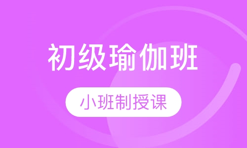 初级瑜伽教练