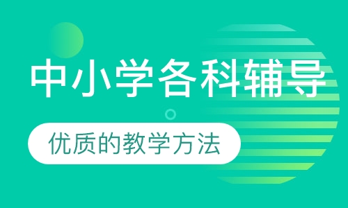 中小学各科辅导