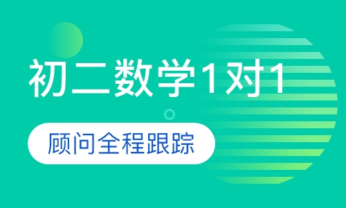 初二数学1对1辅导