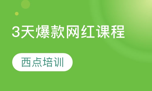 3天爆款网红课程