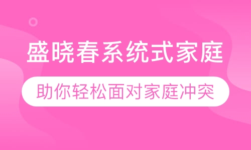 盛晓春系统式家庭治疗连续培训