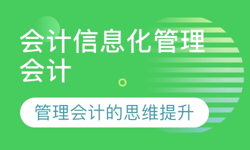会计信息化管理会计