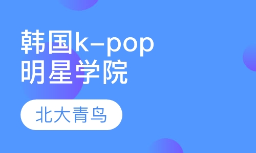 韩国k-pop明星学院