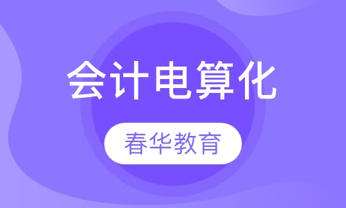 会计电算化