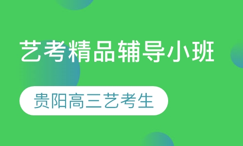 高考艺考精品辅导小班