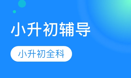 小升初一对一辅导