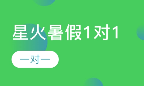 星火暑假1对1