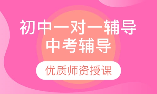 初中一对一辅导中考辅导