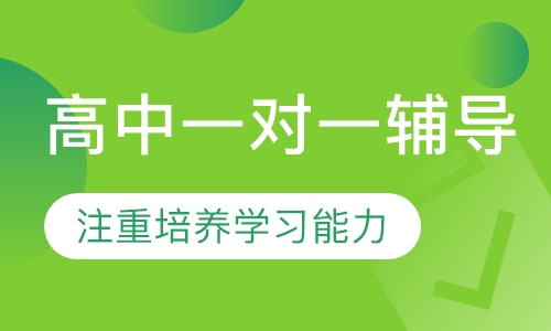 高中一对一辅导