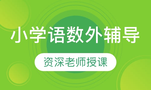 小学语数外辅导