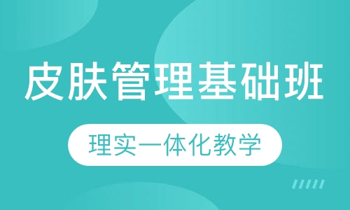 皮肤管理基础班