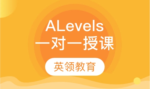 A Levels(高中国际课程)一对一授课