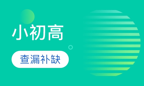 小初高一对一辅导