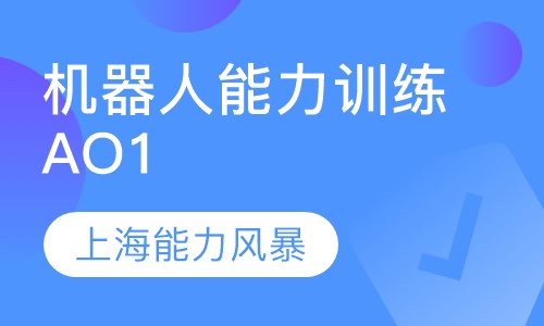 机器人能力训练AO1