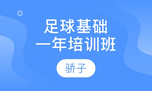 足球基础培训一年班