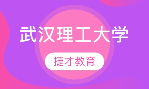 武汉理工大学远程教育