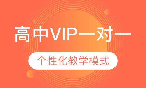 高中VIP一对一