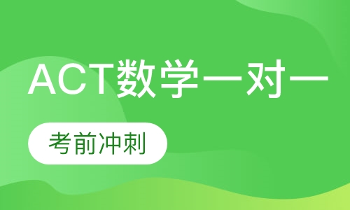ACT数学一对一