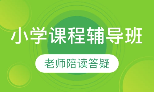 小学课程辅导班